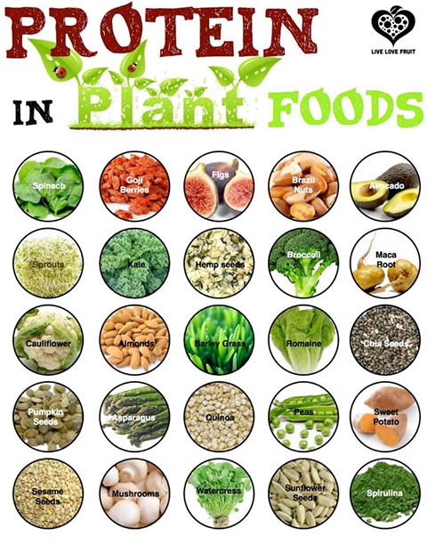 Con proteinas comidas